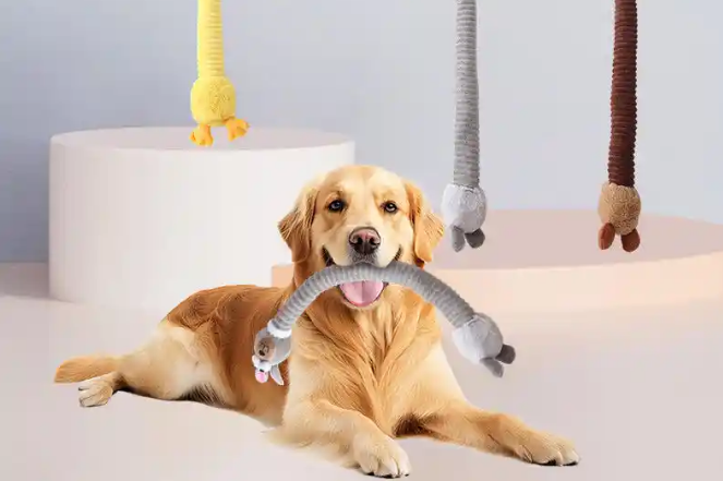 How to Choose Safe & Durable Pet Toys for Long-Term Use