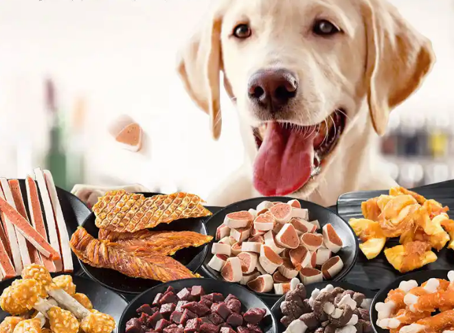 Premium Pet Food & Treats: Fuel Healthy Growth for Pets