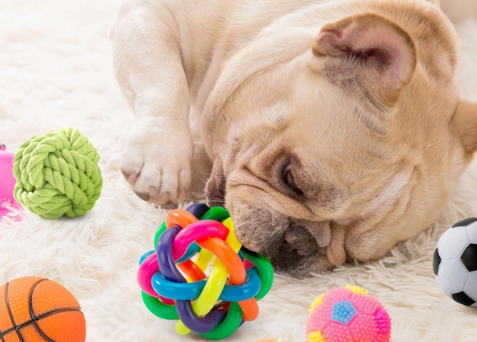 Why Interactive Pet Toys Are Essential for Your Dog & Cat