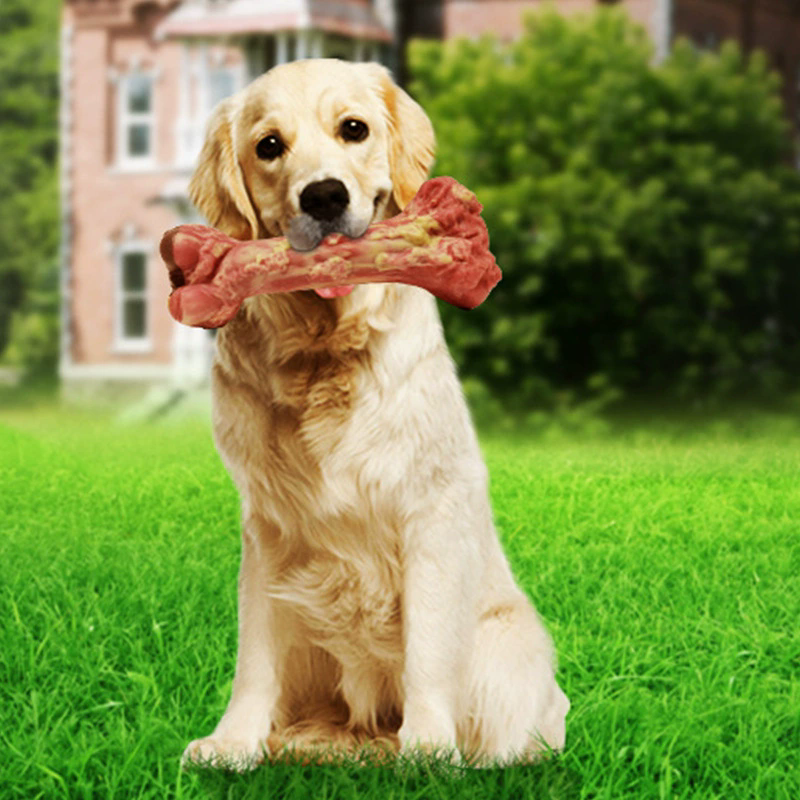 Dog toys, chew resistant and bite resistant grinding sticks, toothbrush with sound simulation, bone like pet toys, Amazon new product