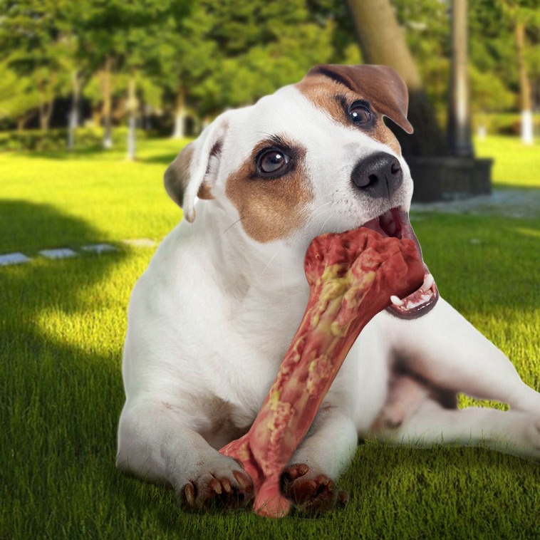 Dog toys, chew resistant and bite resistant grinding sticks, toothbrush with sound simulation, bone like pet toys, Amazon new product4