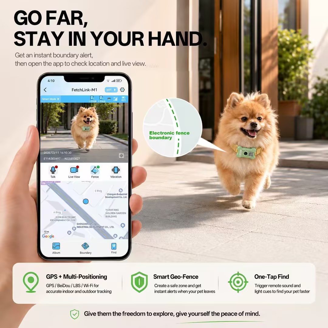 Dog smart colla M14